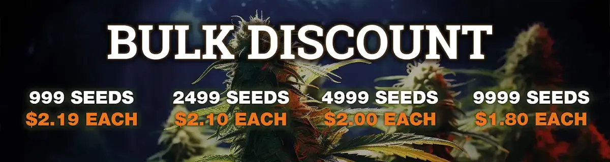 Wholesale seeds promotion