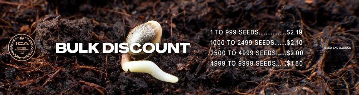 Wholesale bulk discount